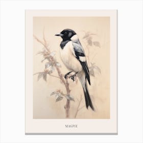 Vintage Bird Drawing Magpie 1 Poster Canvas Print