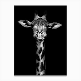 Giraffe Portrait Canvas Print