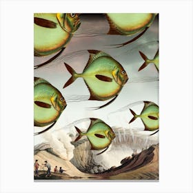 Fish Migration Canvas Print