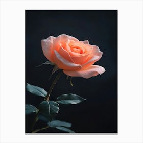 Peach Rose 13 Canvas Print