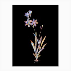 Stained Glass Ixia Grandiflora Mosaic Botanical Illustration on Black n.0281 Canvas Print