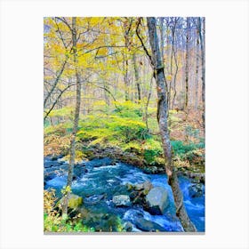 Autumn In The Smoky Mountains Canvas Print