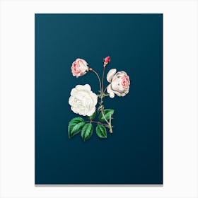 Vintage Ruga Rose Flower Botanical Art on Teal Blue n.0045 Canvas Print