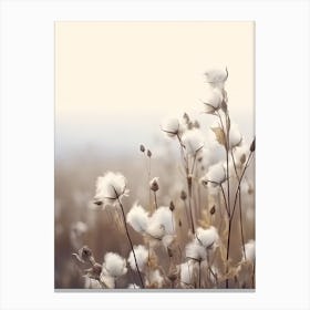 White Cotton Flowers Photography Canvas Print