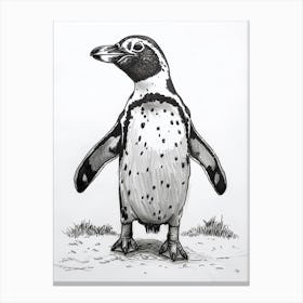 African Penguin Staring Curiously 3 Canvas Print