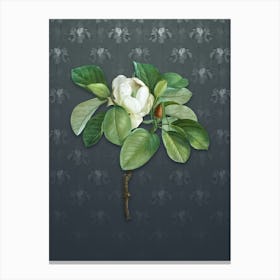 Vintage Magnolia Elegans Botanical on Slate Gray Pattern n.0701 Canvas Print