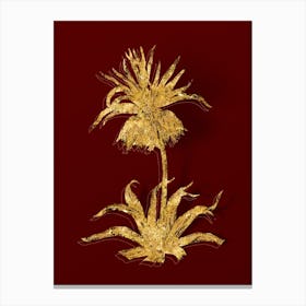 Vintage Fritillaries Botanical in Gold on Red n.0505 Canvas Print