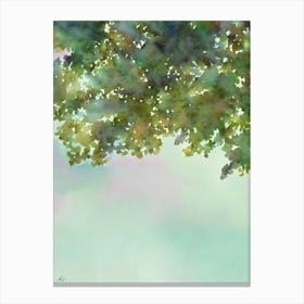 Acropora Vaughani Iii Storybook Watercolour Canvas Print