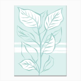 Mint Plant Canvas Print