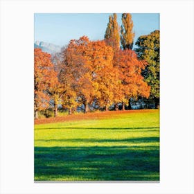 Autumn Trees In A Park Canvas Print