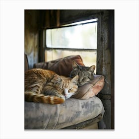 Two Cats Sleeping On A Couch Canvas Print