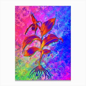 Yellow Lady's Slipper Orchid Botanical in Acid Neon Pink Green and Blue n.0266 Canvas Print