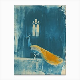 Orange & Blue Peacock In The Church Abbey 2 Canvas Print