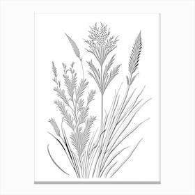 Psyllium Herb William Morris Inspired Line Drawing 1 Canvas Print