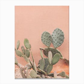 Stucco And Cactus Canvas Print