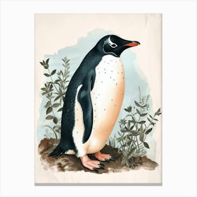 Adlie Penguin Petermann Island Vintage Botanical Painting 3 Canvas Print