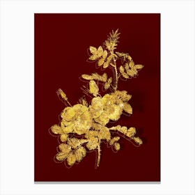 Vintage Yellow Sweetbriar Roses Botanical in Gold on Red n.0351 Canvas Print