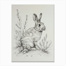 Polish Rex Rabbit Drawing 4 Canvas Print