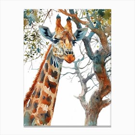 Giraffe Under The Acacia Tree Watercolour 3 Canvas Print