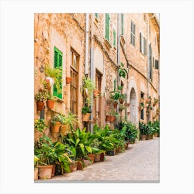 Beautiful street at the mediterranean village of Valldemossa on Majorca Spain. Walk through the fiesta-filled streets and admire the history and culture of this famous landmark. The potted plants and flowers add a touch of Mediterranean elegance to the Spanish architecture. Canvas Print