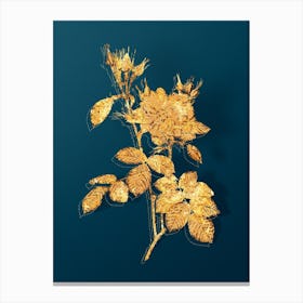 Vintage Autumn Damask Rose Botanical in Gold on Teal Blue n.0194 Canvas Print