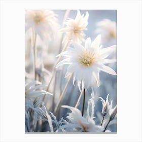 Frosty Botanical Edelweiss 1 Canvas Print