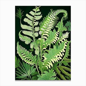 Marsh Fern Wildflower Vintage Botanical 2 Canvas Print