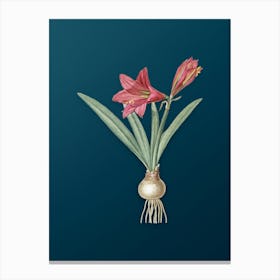 Vintage Hippeastrum Botanical Art on Teal Blue n.0570 Canvas Print