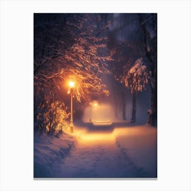 Winter Night In The Park 2 Canvas Print