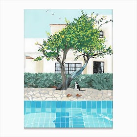 Cat By The Pool 1 Canvas Print