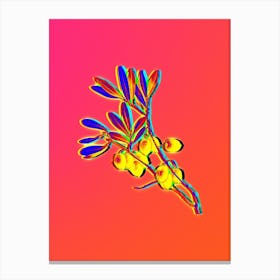 Neon Olive Tree Branch Botanical in Hot Pink and Electric Blue n.0492 Canvas Print