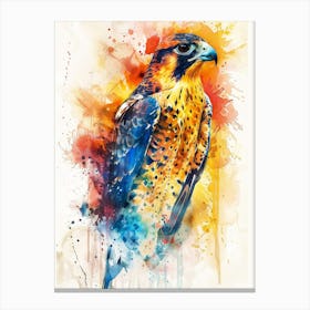 Falcon Colourful Watercolour 1 Canvas Print