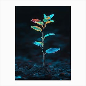 Plant In The Dark 5 Canvas Print