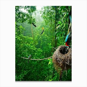 A Nest Cradled On A Rainforest Tree Branch Its Structure Intricately Woven By Passerines Shades Of (1) Canvas Print