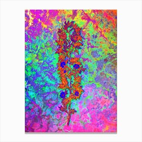 Cuspidate Rose Botanical in Acid Neon Pink Green and Blue Canvas Print