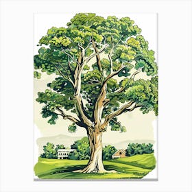 Paulownia Tree Storybook Illustration 2 Canvas Print