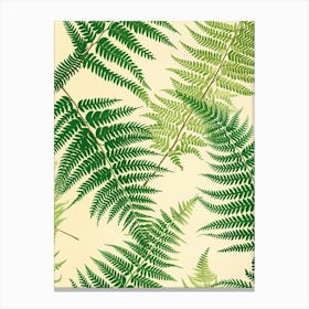 Pattern Poster Sensitive Fern 3 Canvas Print