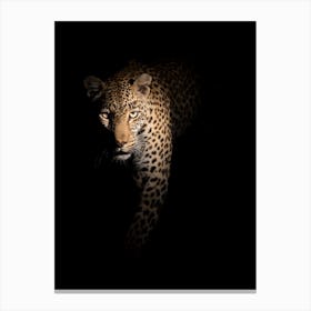 Out Of The Darkness Canvas Print
