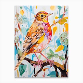 Colourful Bird Painting Hermit Thrush 3 Canvas Print