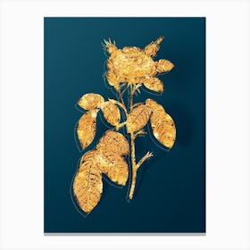 Vintage Red Gallic Rose Botanical in Gold on Teal Blue n.0276 Canvas Print