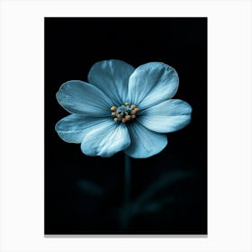 Blue Flower 3 Canvas Print