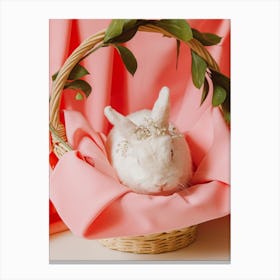 Rabbit In A Basket Canvas Print