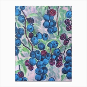 Black Raspberry Classic Fruit Canvas Print