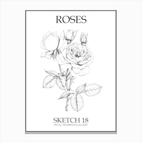 Roses Sketch 18 Poster Canvas Print