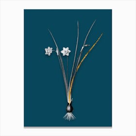 Vintage Daffodil Black and White Gold Leaf Floral Art on Teal Blue n.0425 Canvas Print