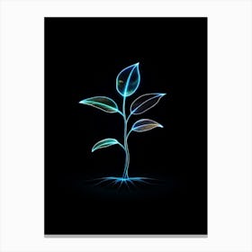 Plant Growing On A Black Background Canvas Print