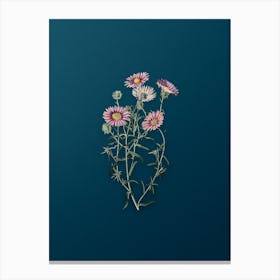 Vintage Hoary Diplopappus Flower Botanical Art on Teal Blue Canvas Print