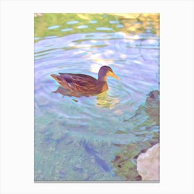 Duck In Water Canvas Print