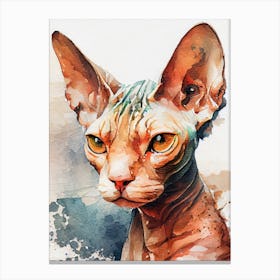Sphynx Cat animal 3 Canvas Print