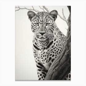 African Leopard Realism Portrait 3 Canvas Print